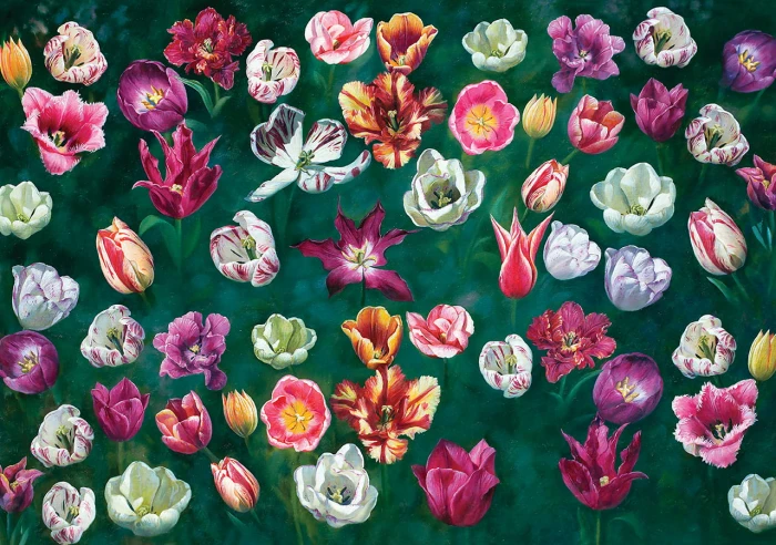 tulip-garden-ks-games.80432-1.fs.jpg