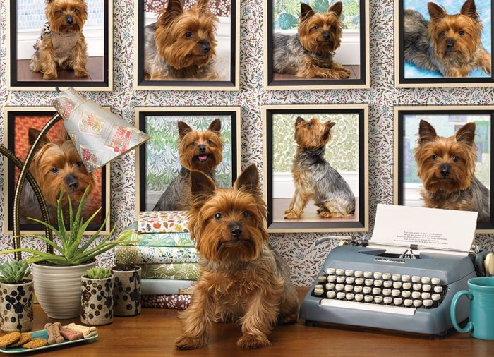 cobble-hill-outset-media-yorkies-are-my-type-jigsaw-puzzle-1000-pieces_64980-1_fs.jpg