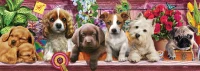 puppies-ks-games.80482-1.fs.jpg