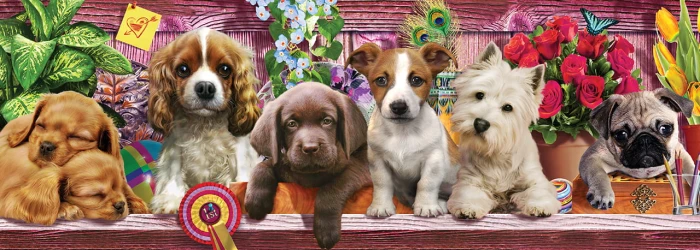 puppies-ks-games.80482-1.fs.jpg