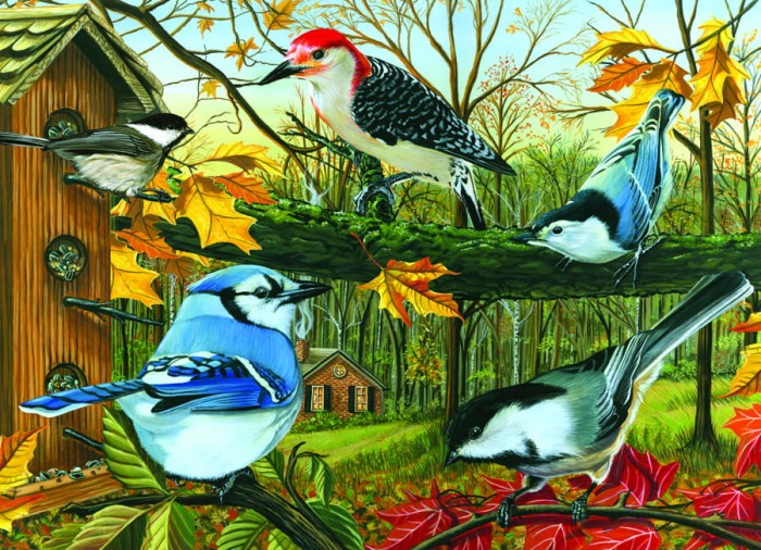 cobble-hill-outset-media-blue-jay-and-friends-jigsaw-puzzle-1000-pieces_44586-1_fs.jpg