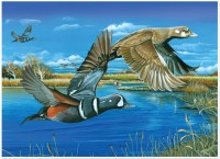 cobble-hill-outset-media-harlequin-romance-jigsaw-puzzle-1000-pieces_64998-1_fs.jpg