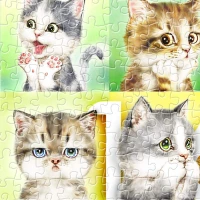 plastic-puzzle-kayomi-160-cats-jigsaw-puzzle-4000-pieces.80694-2.fs.jpg