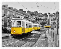 plastic-puzzle-yellow-trams-in-lisbon-jigsaw-puzzle-2000-pieces.72102-1.fs.jpg
