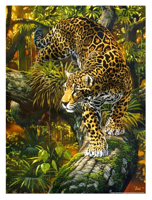 plastic-puzzle-al-agnew-high-intensity-jigsaw-puzzle-1200-pieces.80648-1.fs.jpg
