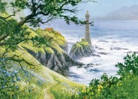 cobble-hill-outset-media-summer-lighthouse-jigsaw-puzzle-1000-pieces_64953-1_fs.jpg