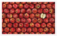 plastic-puzzle-fruits-apple-jigsaw-puzzle-1000-pieces.80610-1.fs.jpg