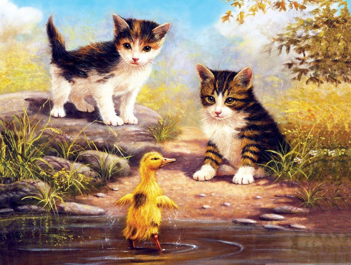 xxl-pieces-just-been-for-a-swim-jigsaw-puzzle-500-pieces.79789-1.fs.jpg