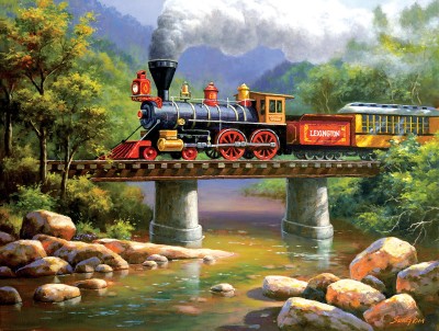 SunsOut 500  XXL - The Lexington Express