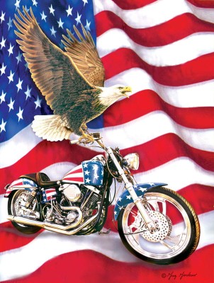 SunsOut 500  XXL - Symbols of Freedom