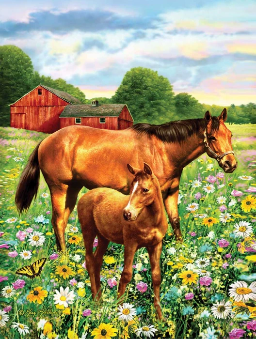 xxl-pieces-mare-and-foal-jigsaw-puzzle-500-pieces.80025-1.fs.jpg
