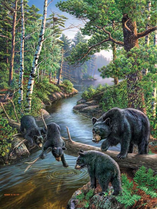 xxl-pieces-bear-pause-jigsaw-puzzle-500-pieces.79862-1.fs.jpg