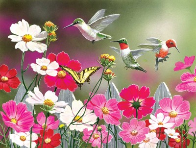 SunsOut 500  XXL - Cosmos and Hummingbirds