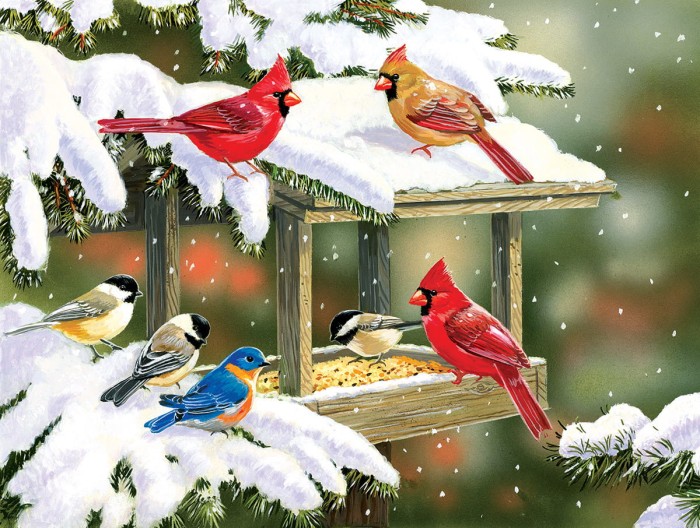 xxl-pieces-winter-snacks-jigsaw-puzzle-500-pieces.79924-1.fs.jpg