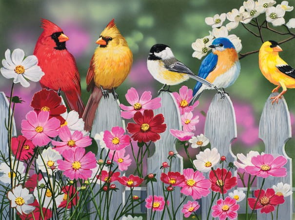 xxl-pieces-songbirds-and-cosmos-jigsaw-puzzle-500-pieces.79926-1.fs.jpg