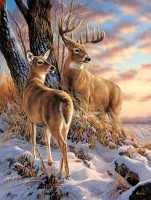 xxl-pieces-escapade-jigsaw-puzzle-500-pieces.79929-1.fs.jpg