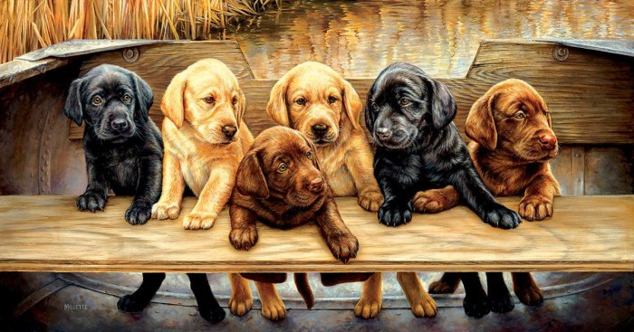 xxl-pieces-all-hands-on-deck-jigsaw-puzzle-500-pieces.79930-1.fs.jpg