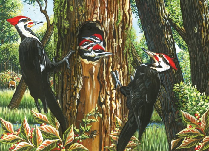 cobble-hill-outset-media-pileated-woodpeckers-jigsaw-puzzle-1000-pieces_44375-1_fs.jpg