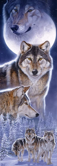 xxl-pieces-spirits-jigsaw-puzzle-500-pieces.79945-1.jpg
