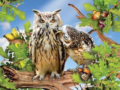 SunsOut 500  XXL - Owl Always Love You