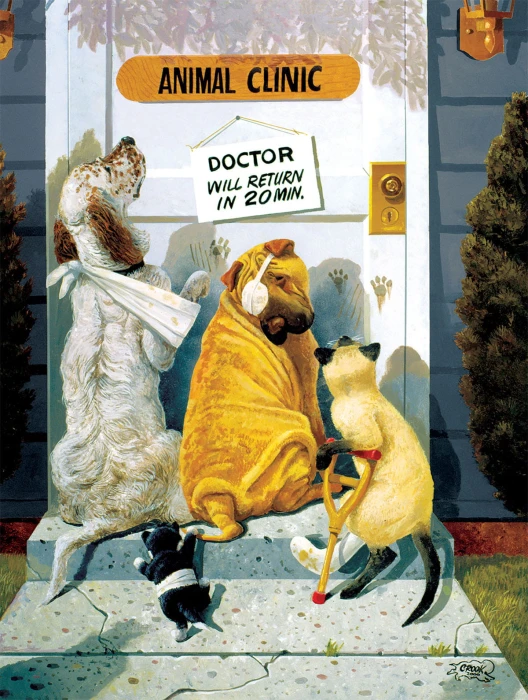 xxl-pieces-waiting-for-the-doctor-jigsaw-puzzle-500-pieces.79999-1.fs.jpg