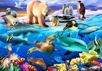 bluebird-puzzle-oceans-of-life-jigsaw-puzzle-1000-pieces.79143-1.fs.jpg