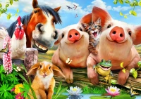 bluebird-puzzle-petting-farm-jigsaw-puzzle-500-pieces.79135-1.fs.jpg