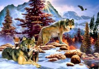 bluebird-puzzle-a-new-dawn-jigsaw-puzzle-1000-pieces.79140-1.fs.jpg