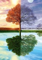 pol_pl_PQ-Puzzle-500-el-Jedno-drzewo-cztery-pory-roku-3183_1.jpg