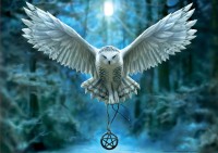 awakened-magic-jigsaw-puzzle-500-pieces.72766-1.fs.jpg