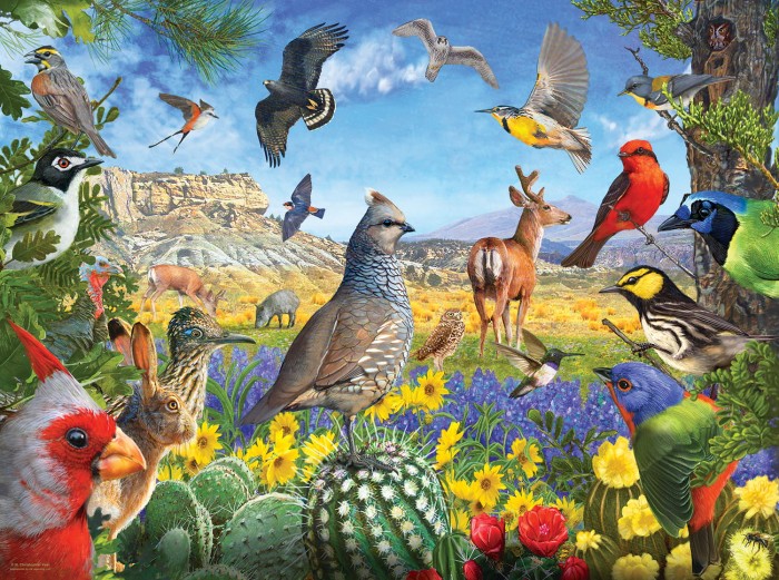 r--christopher-vest-texas-birds-jigsaw-puzzle-1000-pieces.80848-1.fs.jpg