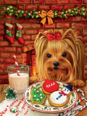 SunsOut 500 - Brooke Faulder - Sharing Cookies with Santa