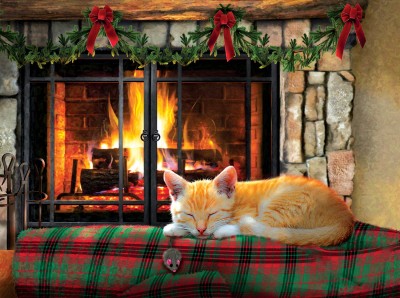 SunsOut 500 - Fireside Snooze