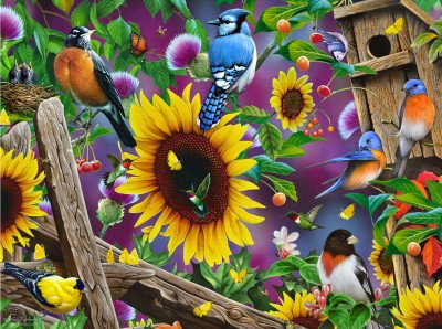SunsOut 500 - Jerry Gadamus - Fenceline Birds