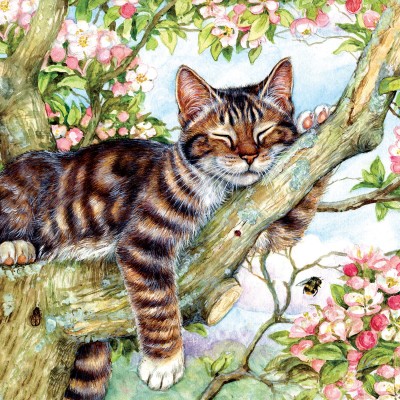 SunsOut 500 - Debbie Cook - Sleepy Cat