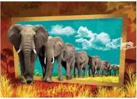 art-puzzle-elephants-jigsaw-puzzle-1000-pieces_63044-1_fs.jpg