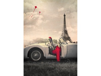 Art Puzzle 1000 - Paris