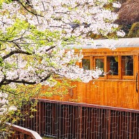 plastic-puzzle-forest-train-in-alishan-national-park-jigsaw-puzzle-1000-pieces.80625-2.fs.jpg