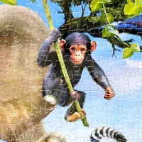 plastic-puzzle-howard-robinson-africa-smile-jigsaw-puzzle-1200-pieces.80639-2.fs.jpg