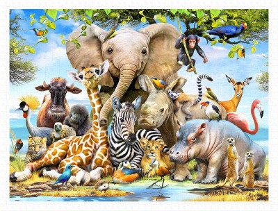 Pintoo 1200 Plastic Puzzle - Howard Robinson - Africa Smile