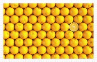 plastic-puzzle-fruits-orange-jigsaw-puzzle-1000-pieces.80605-1.fs.jpg