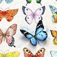 plastic-puzzle-beautiful-butterflies-jigsaw-puzzle-1000-pieces.80613-2.fs.jpg