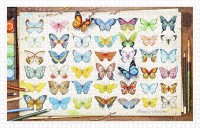 plastic-puzzle-beautiful-butterflies-jigsaw-puzzle-1000-pieces.80613-1.fs.jpg