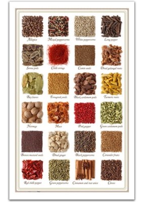 Pintoo 1000 Plastic Puzzle - Collection of spices