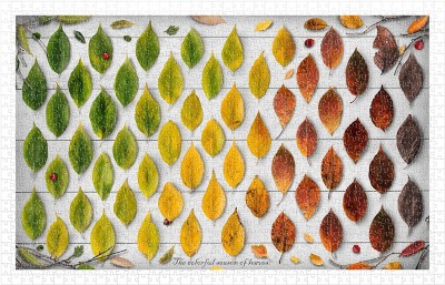 Pintoo 1000 Plastic Puzzle - The Colorful Season of Leaves