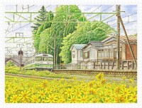 plastic-puzzle-tadashi-matsumoto-scattering-brilliance-jigsaw-puzzle-1200-pieces.80661-1.fs.jpg