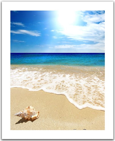 plastic-puzzle-seashell-on-the-beach-jigsaw-puzzle-500-pieces.41654-1.fs.jpg