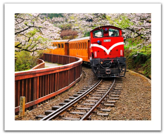 plastic-puzzle-forest-train-in-alishan-national-park-taiwan-jigsaw-puzzle-500-pieces.80535-1.fs.jpg