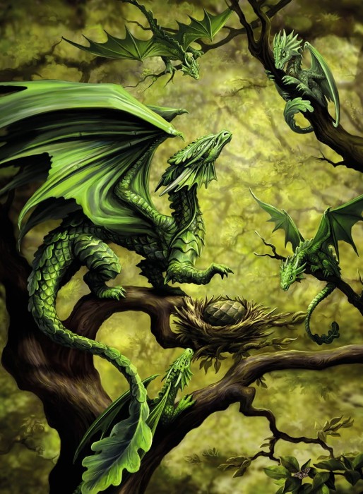 forest-dragon-by-anne-stokes-jigsaw-puzzle-500-pieces.62764-1.fs.jpg