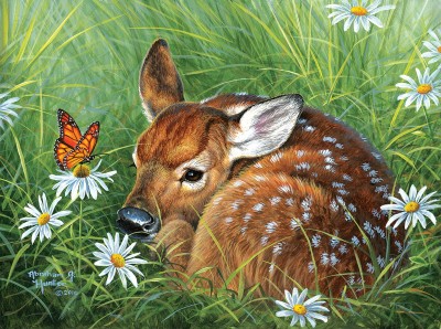 SunsOut 1000 - Abraham Hunter - Natural Tranquility